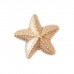 Crocs Jibbitz Charms Gold Star Fish 10011621